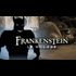Frankenstein : le village