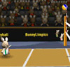 BunnyLimpics Volleyball