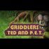 Griddlers. Ted and P.E.T.
