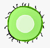 Protozoa Pop
